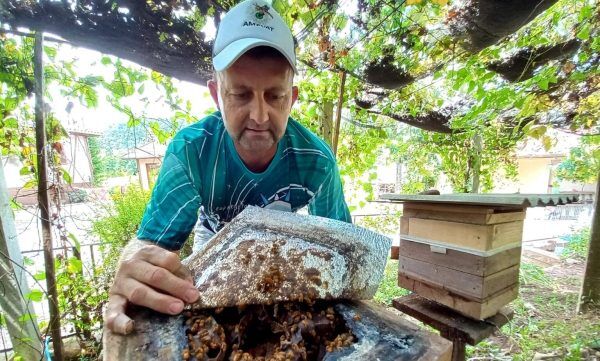 “As abelhas são os seres vivos mais importantes do planeta”