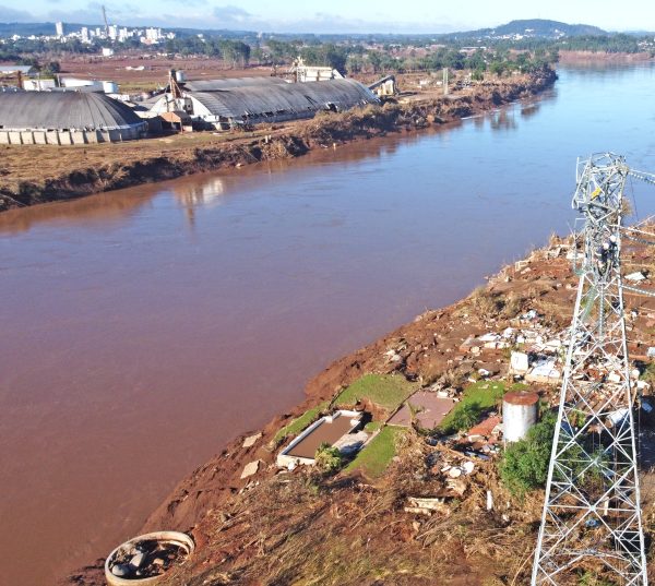 Recuperação de áreas exige múltiplas ações e tempo