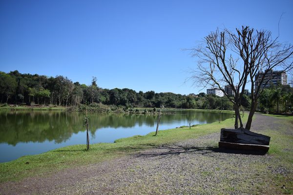 Sicoob São Miguel doa bancos e mudas de árvores ao Parque dos Dick