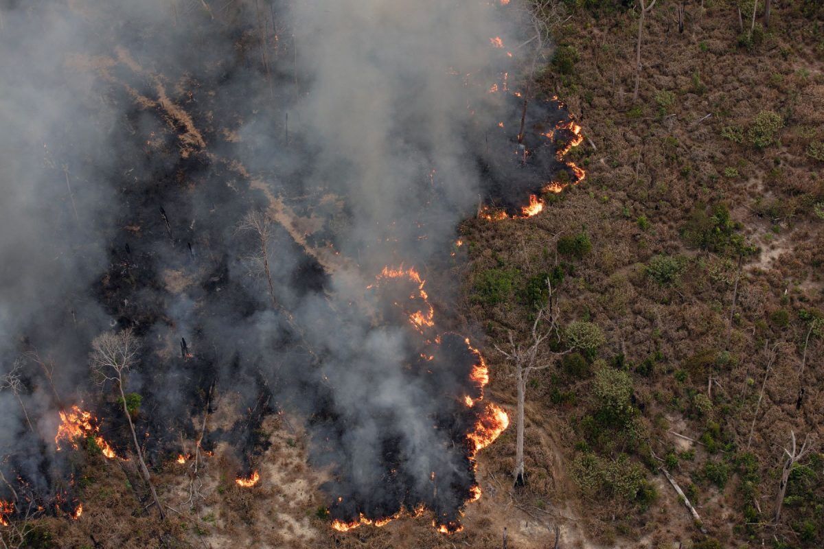 Focos de incêndios no Brasil já são 76% maior que em 2023