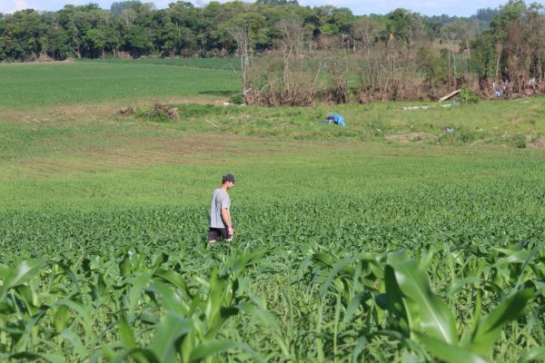 Novas projeções indicam clima favorável à produção agrícola