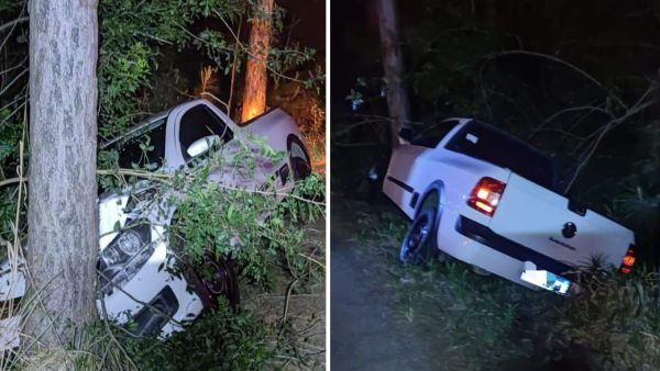 Veículo sai da pista e colide em árvore em Teutônia