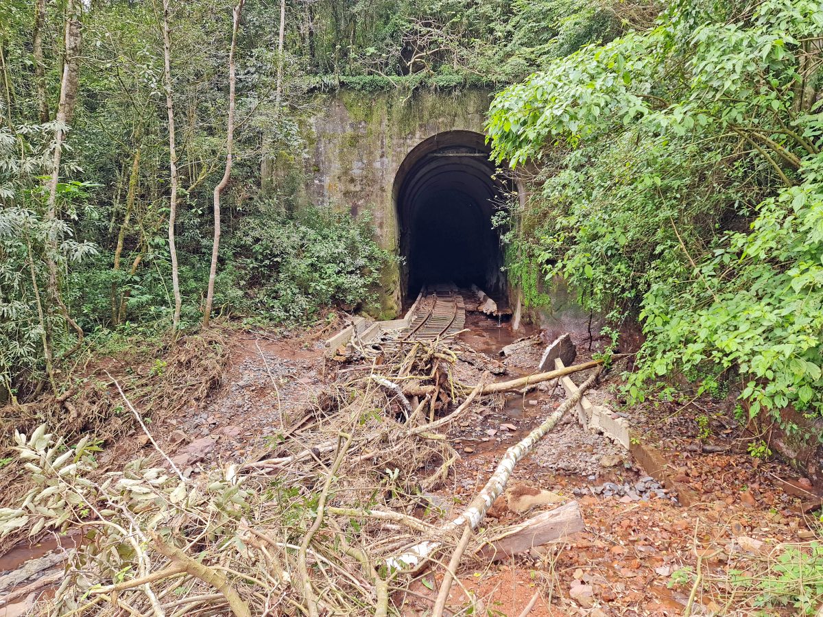 Vale sugere assumir a gestão de 46 quilômetros da ferrovia