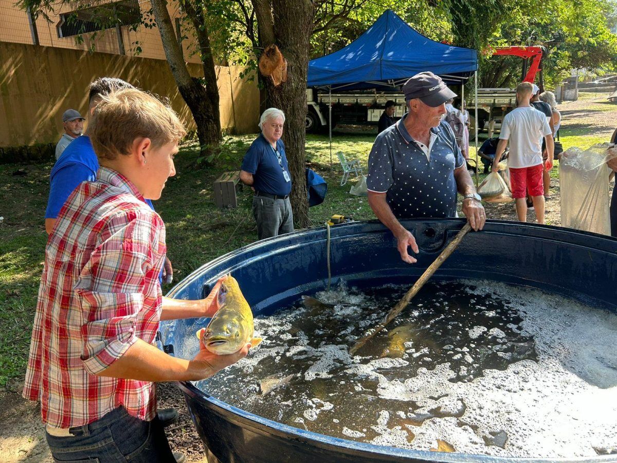 Feira do Peixe Vivo de Lajeado ocorre nesta sexta-feira