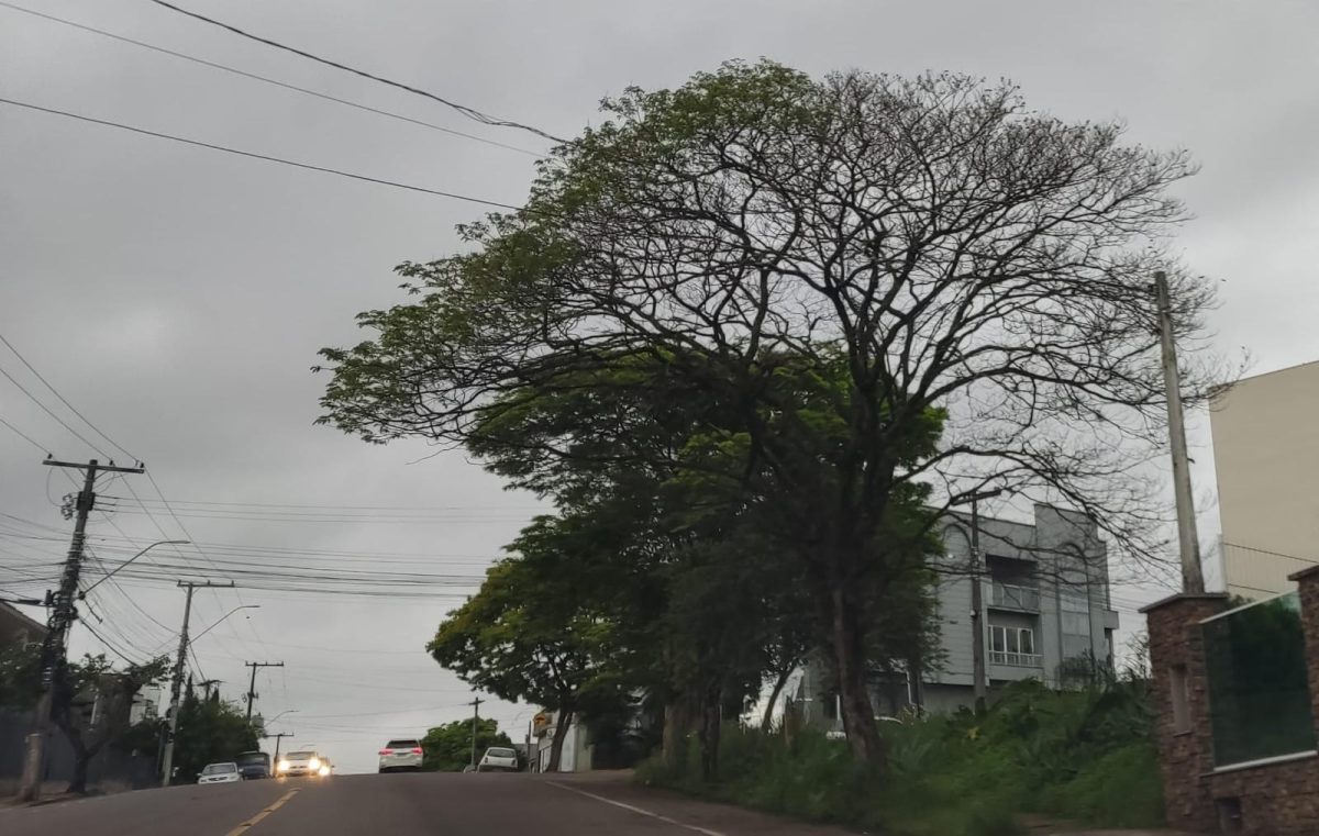 Aumento de nebulosidade e chuva marcam esta quarta