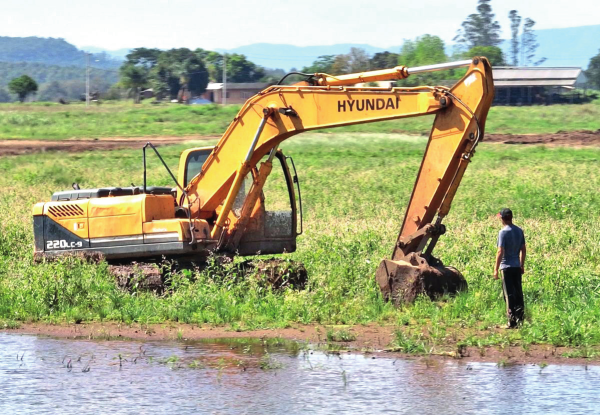 Projeto de retomada no campo abrange cerca de 800 hectares