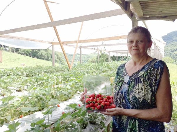 “Foco da propriedade é manter a produção sustentável”