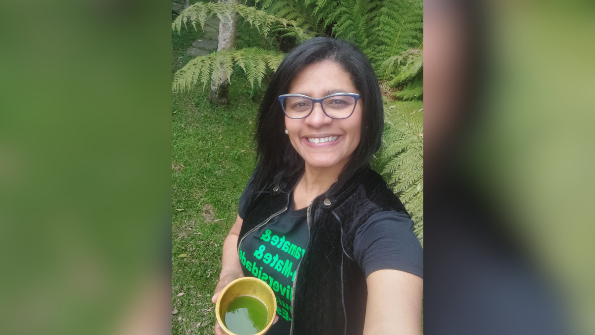 “Estamos apenas começando a explorar todo o potencial da erva-mate”