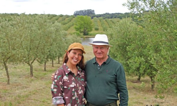 Olivas da Lua! Os sabores e experiências do olivoturismo