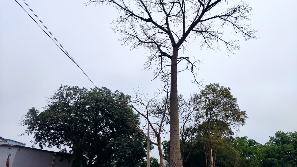 Quinta-feira de céu encoberto e pancadas de chuva