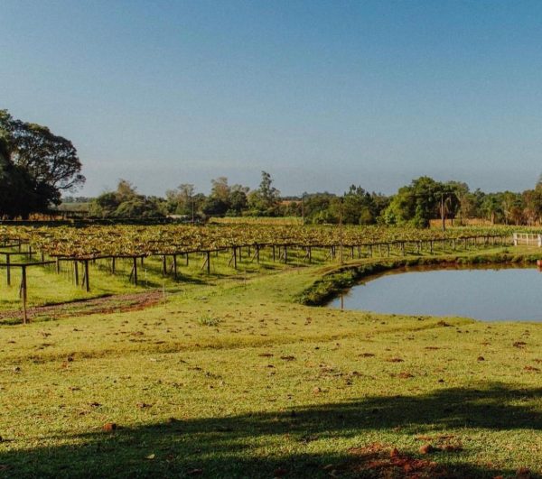 Lermen Jaeger inaugura novo espaço e fortalece turismo de vinhos