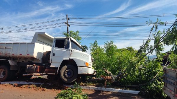 Caminhão invade canteiro central na Av. Amazonas, em Lajeado