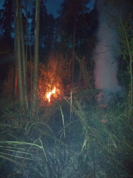 Corpo de Bombeiros controla fogo em vegetação