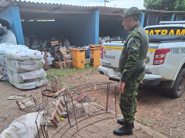 Batalhão Ambiental apreende pássaros mantidos em cativeiro