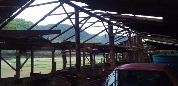 Temporal causa prejuízos no Vale do Taquari