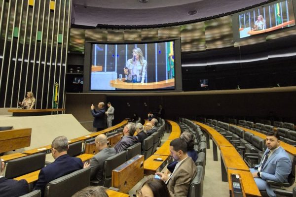 Reitora integra comitiva que busca regulamentação da Lei das Universidades Comunitárias