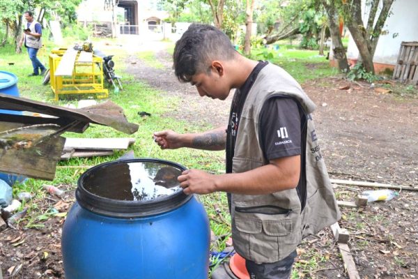 Infestação pelo mosquito da dengue diminui, mas dados ainda são alarmantes