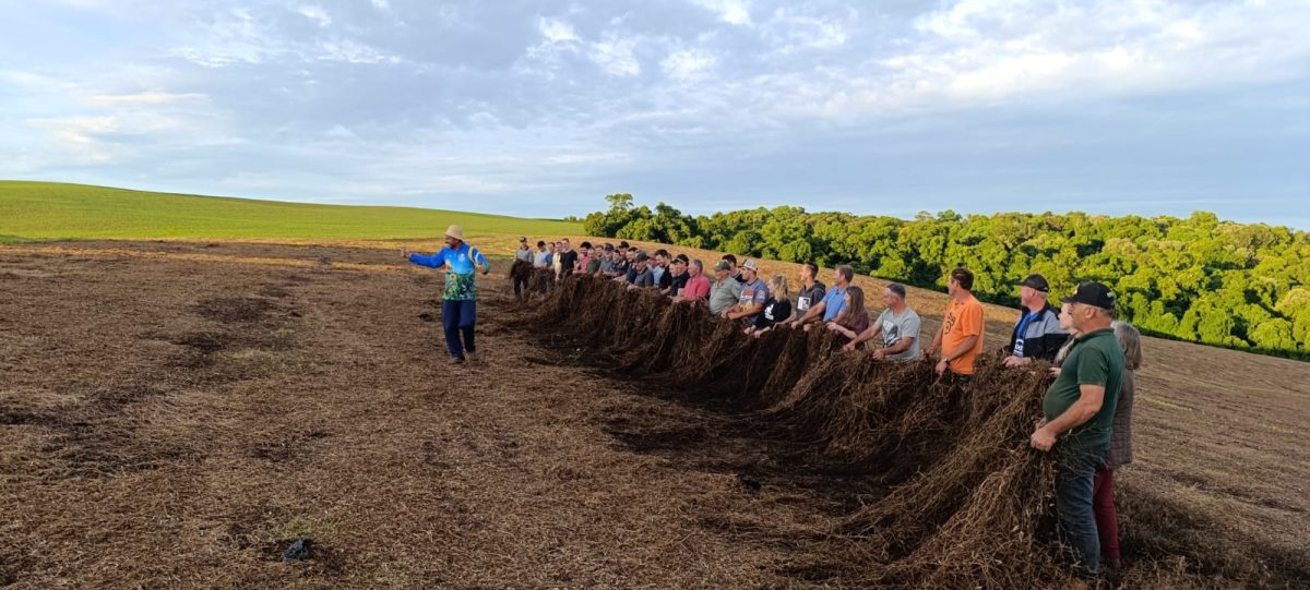 Produtores participam de saída de campo em propriedade do Paraná