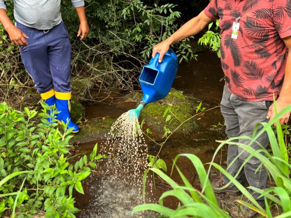 Cidade aplica BTI para controle do borrachudo