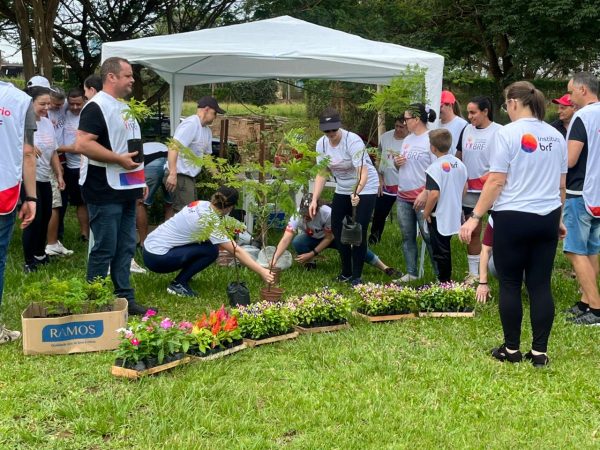 Instituto BRF faz plantio de 190 mudas no Parque dos Dick