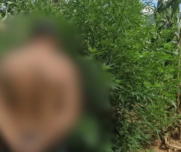 Homem é preso por tráfico de drogas em Tamanduá