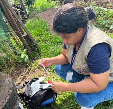 Paverama tem três imóveis positivos para Aedes aegypti