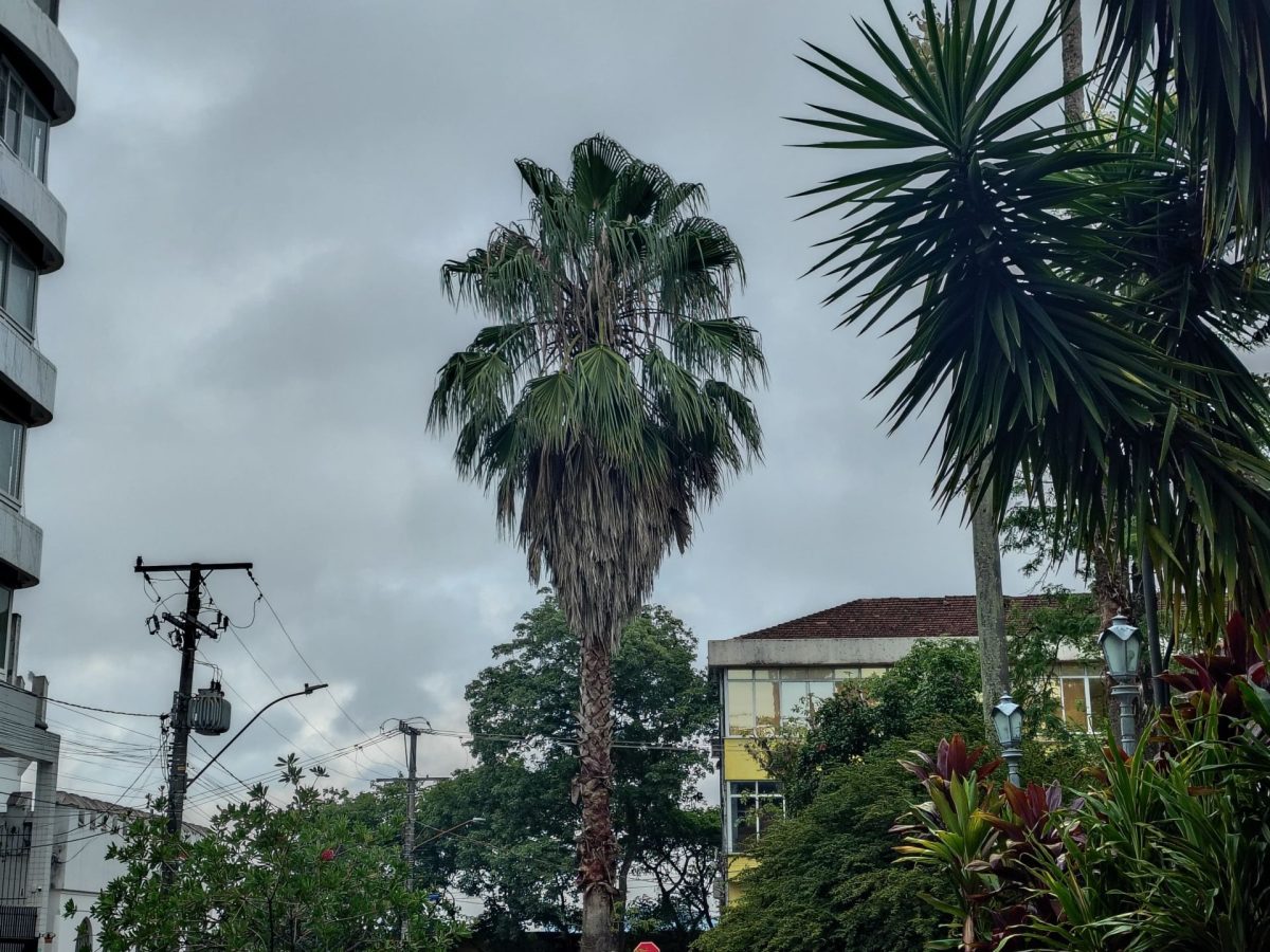 Domingo será de calor no Vale