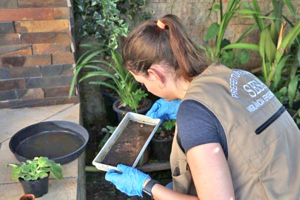 Vale confirma primeiro caso de dengue no ano