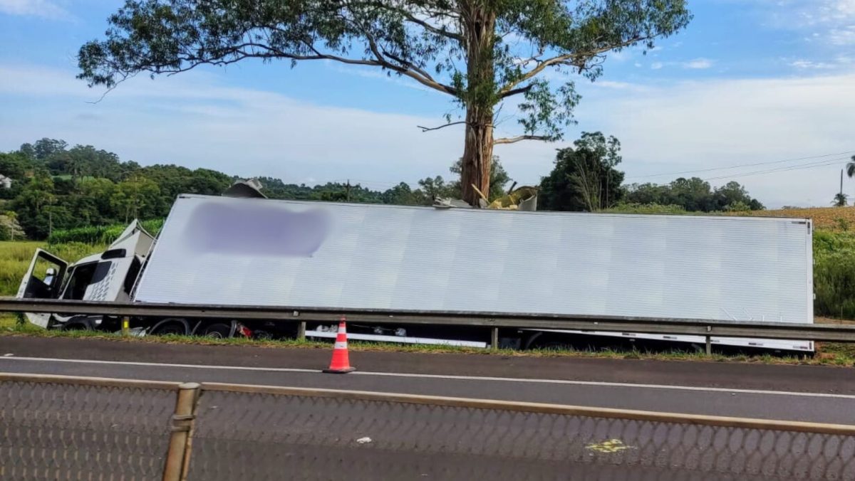 Caminhão sai de pista e colide em árvore na BR-386