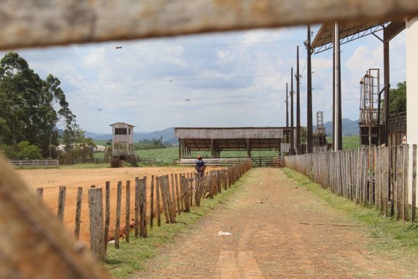 Rodeio Crioulo Dom Ermilo chega à 6ª edição