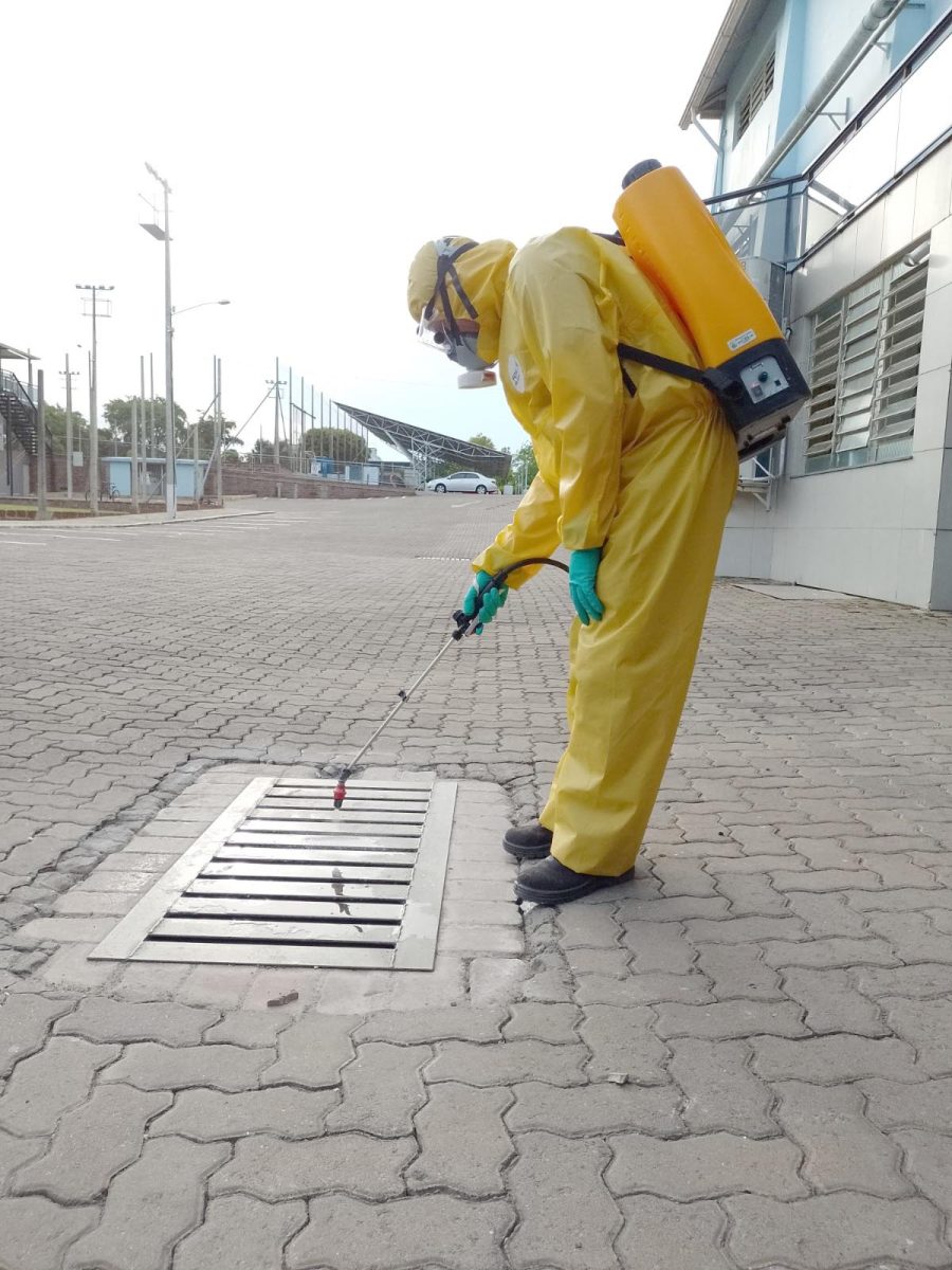 Municípios investigam primeiros casos de dengue