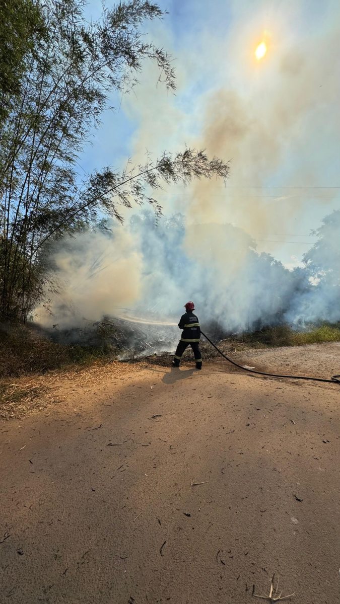 Incêndio atinge área de vegetação em Teutônia