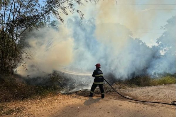 Incêndio atinge área de vegetação em Teutônia