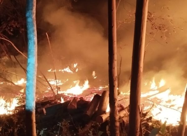 Incêndio florestal atinge área rural de Paverama