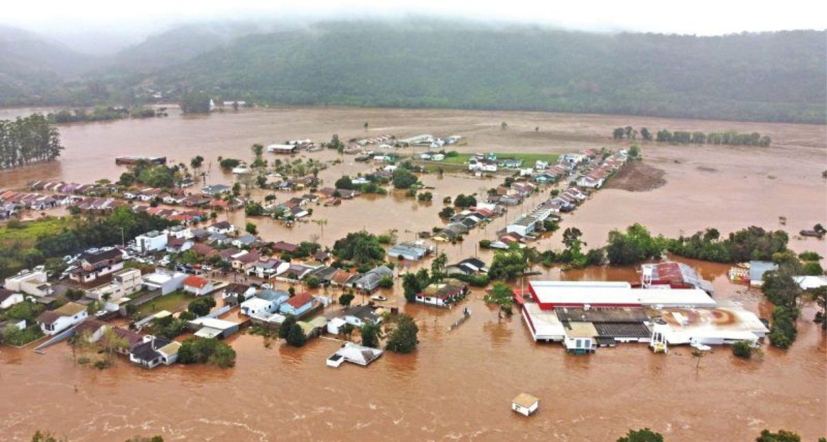 Conferência do Meio Ambiente debate transformação ecológica