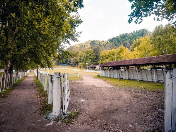 CTG Sinuelo da Amizade promove 66º rodeio crioulo