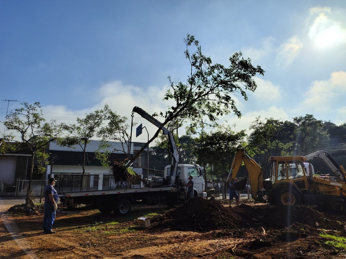 Lajeado finaliza supressão de 48 árvores para instalar central de polícia