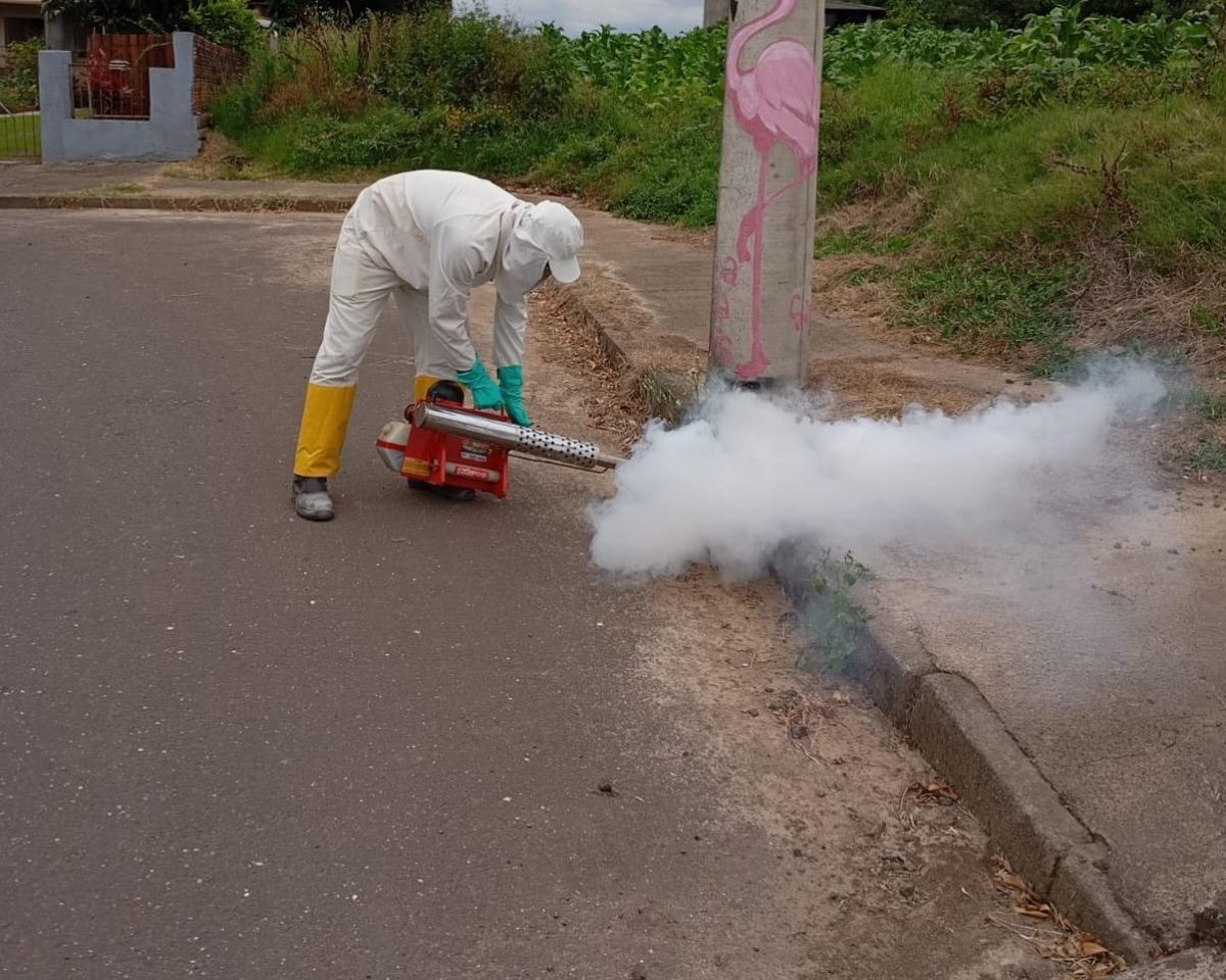 Aplicação de fumacê para controle de insetos começa nesta segunda