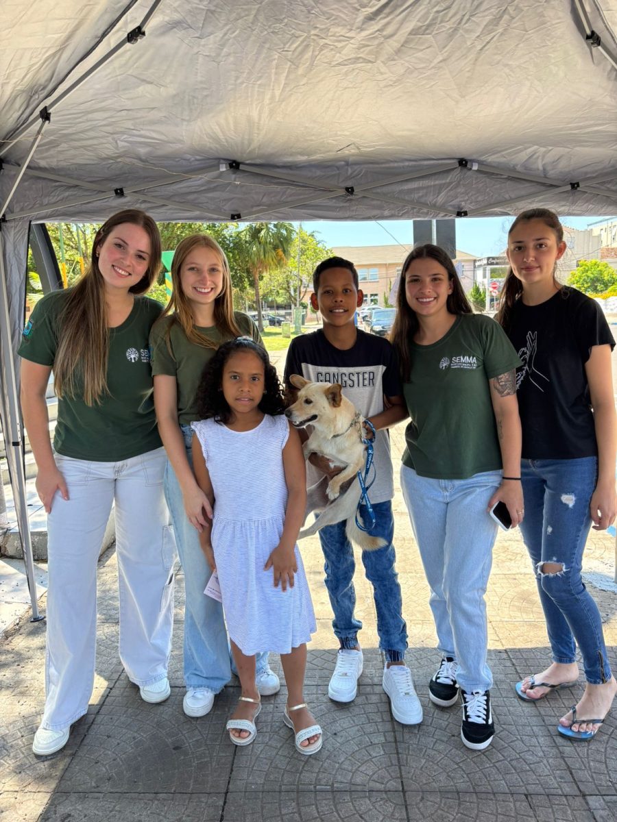 Feira de Adoção oportuniza 20 pets a encontrarem novos lares