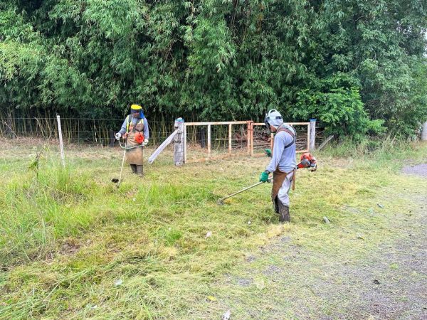 Município contrata nova empresa e amplia serviços de limpeza urbana