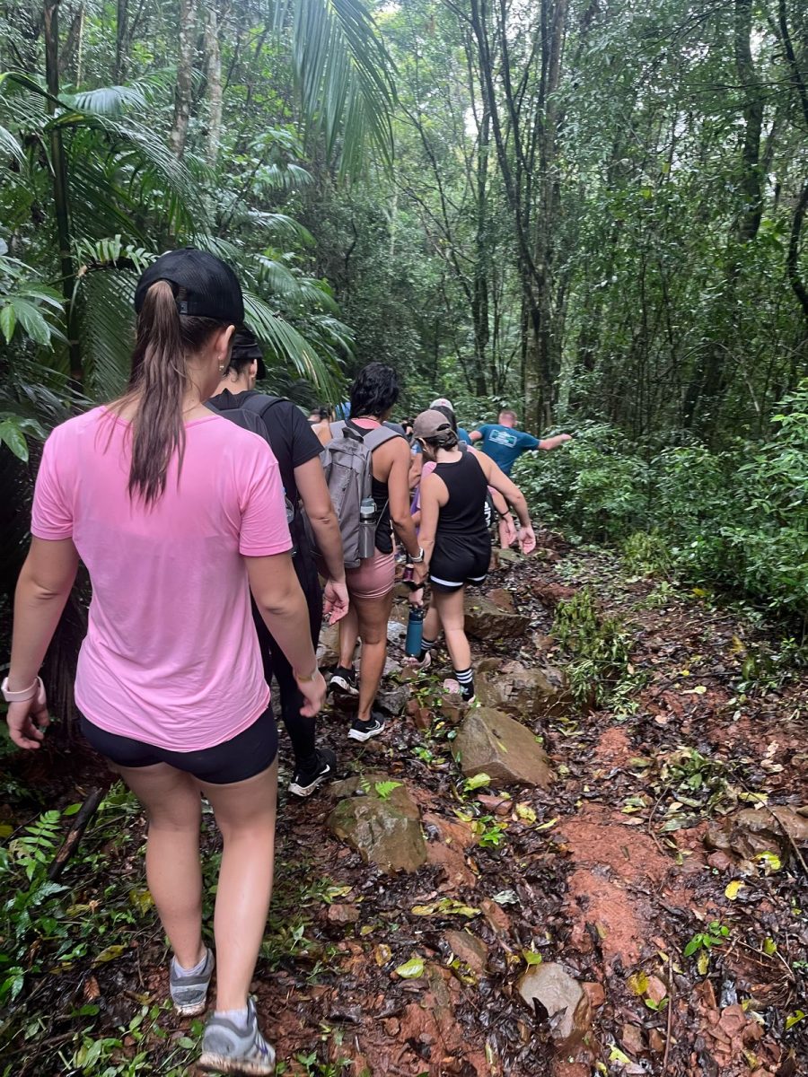 Eco Bike Park promove fim de semana de aventura e adrenalina