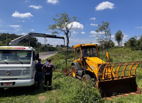 Lajeado transplanta árvores ao Parque Ney Santos Arruda