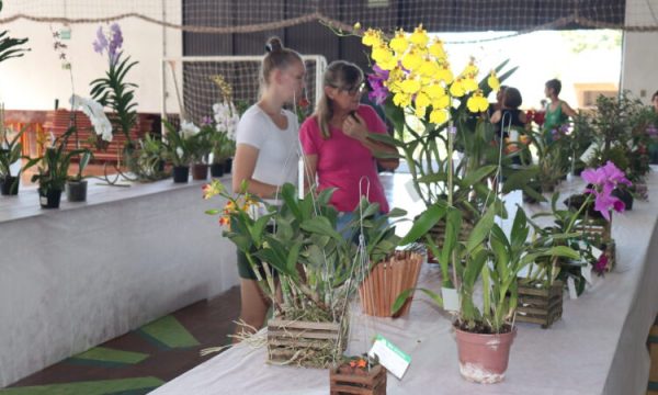 Mato Leitão promove exposição de orquídeas