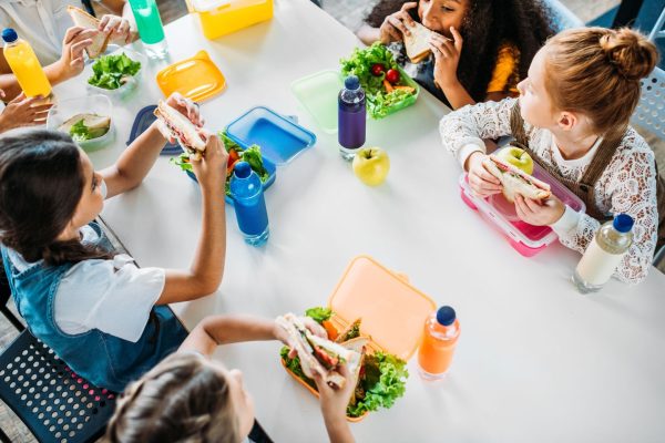 “Falar em alimentação infantil é falar da alimentação da família”