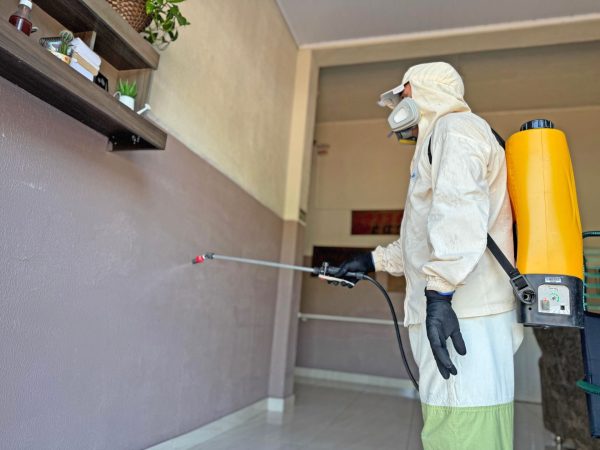 Vale registra 21 casos de dengue e 24 de coqueluche