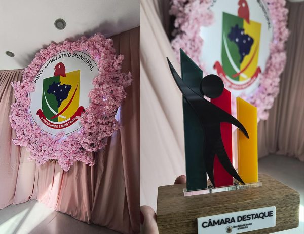 Câmara de vereadores homenageia mulheres empreendedoras