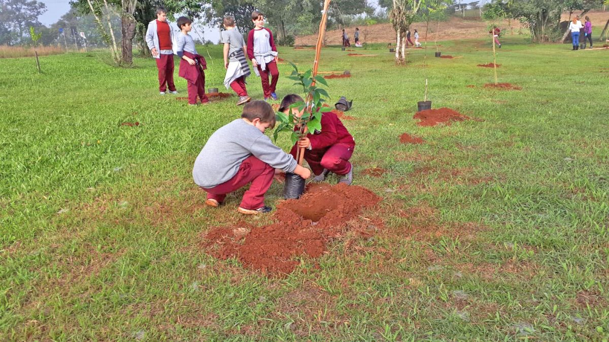 Municípios adotam novo código ambiental