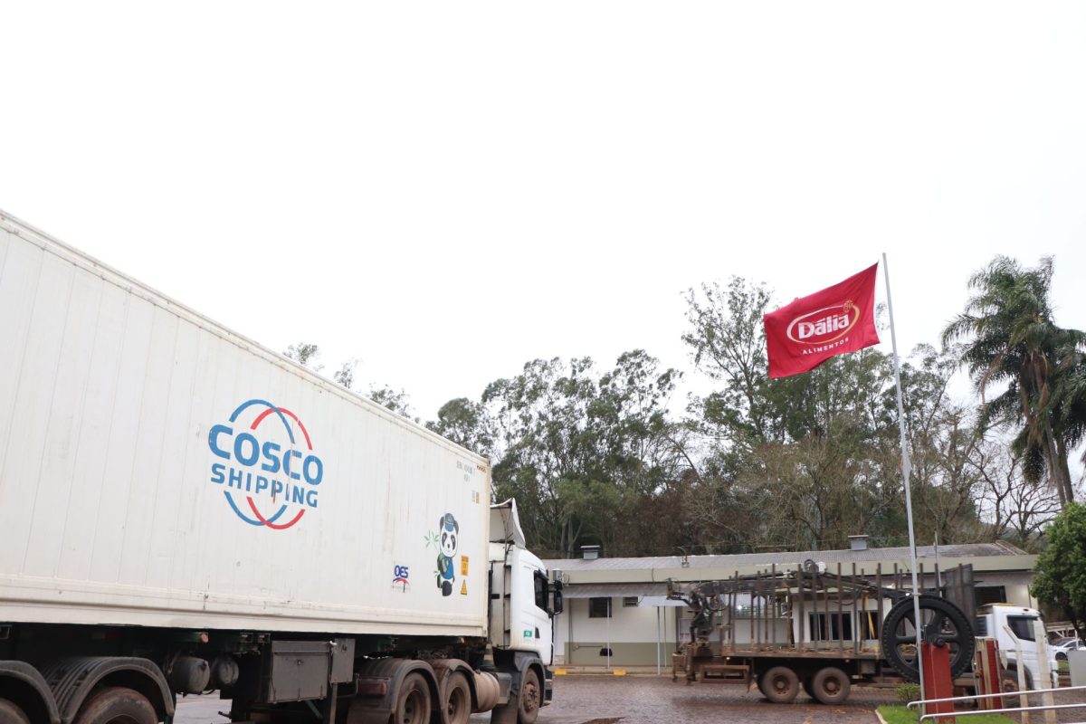 Dália fecha 2024 com aumento nas exportações de carne suína no país
