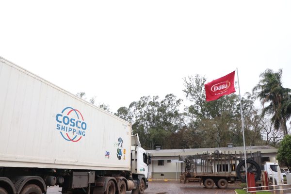 Dália fecha 2024 com aumento nas exportações de carne suína no país