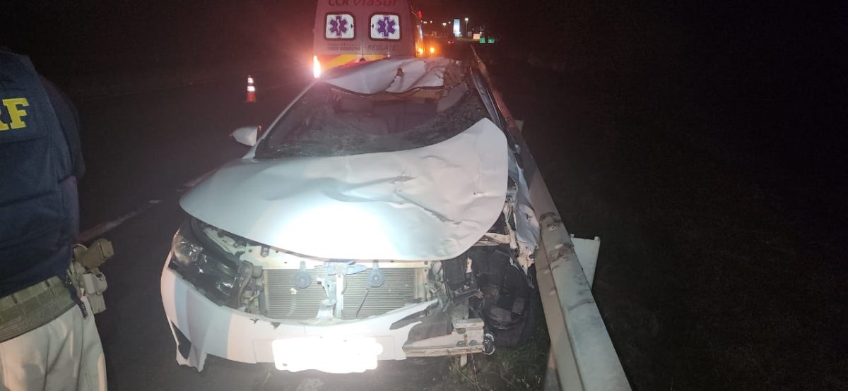 Caminhonete colide contra bovino e três pessoas ficam feridas na BR-386
